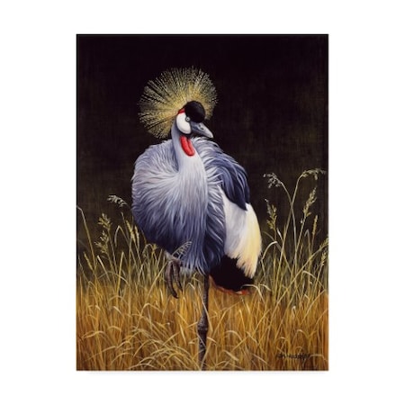 Harro Maass 'Crowned Crane' Canvas Art,18x24